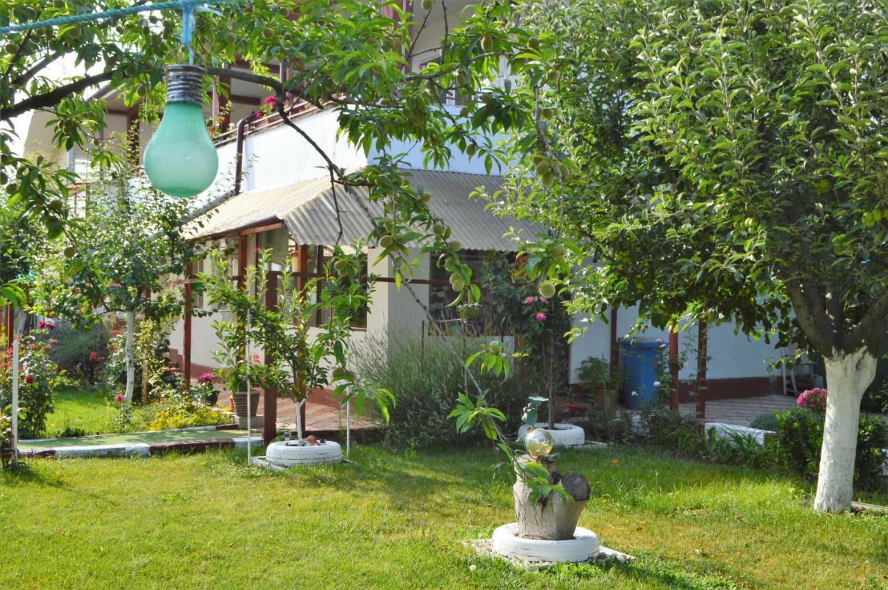 Готель Casa Gia Костінешть Екстер'єр фото